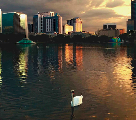 Lake Eola Park - Downtown Orlando | Orlando Land Trust