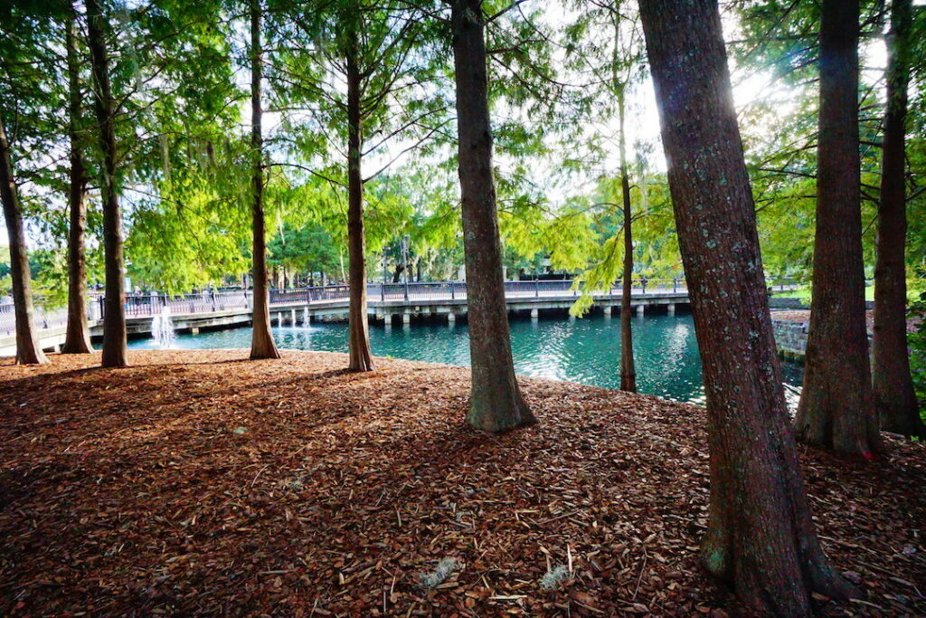 Lake Eola Park - Downtown Orlando | Orlando Land Trust